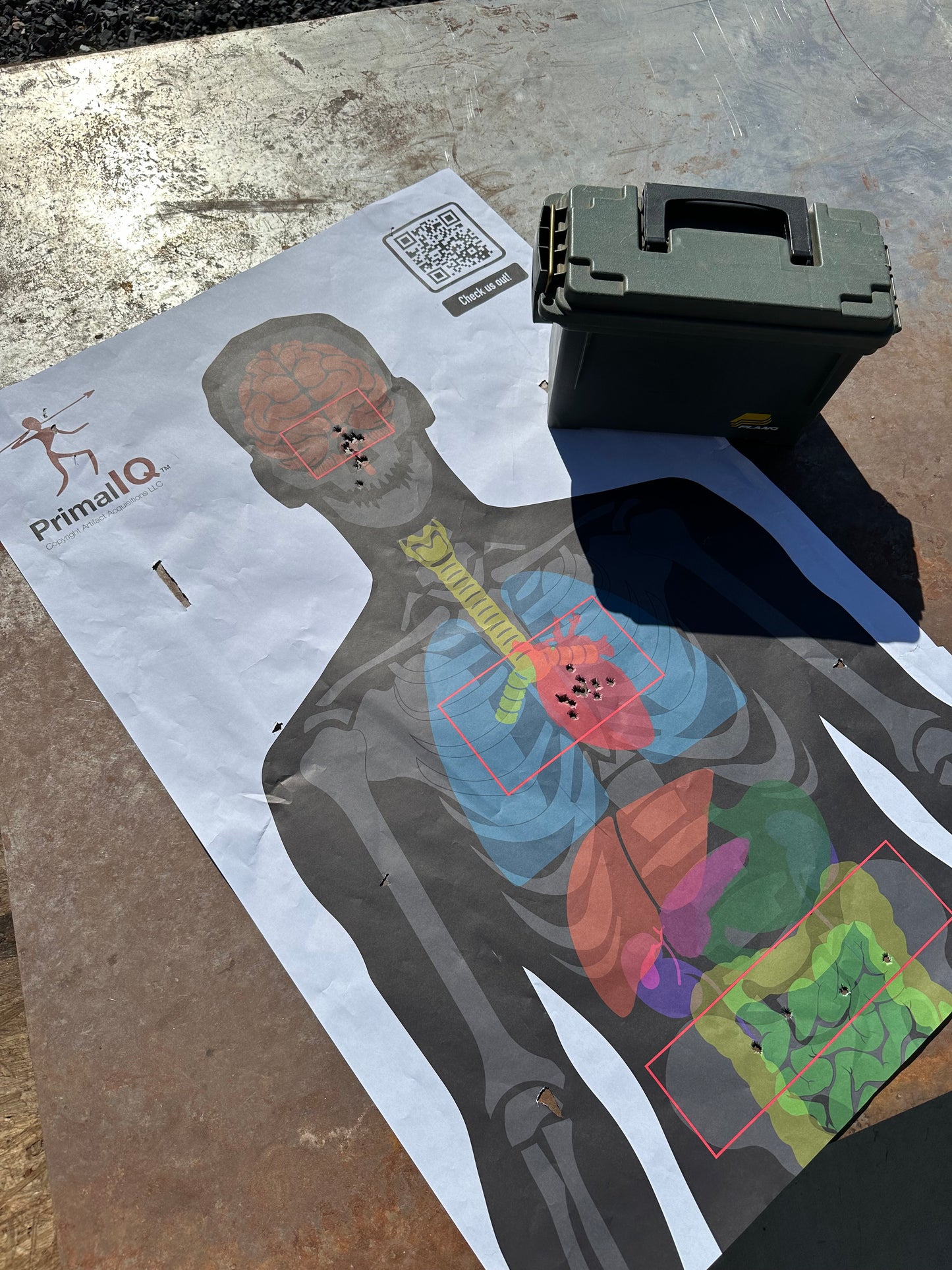 Triple A-Zone Anatomy Target