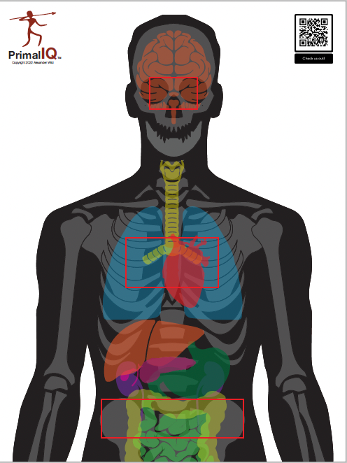 Triple A-Zone Anatomy Target